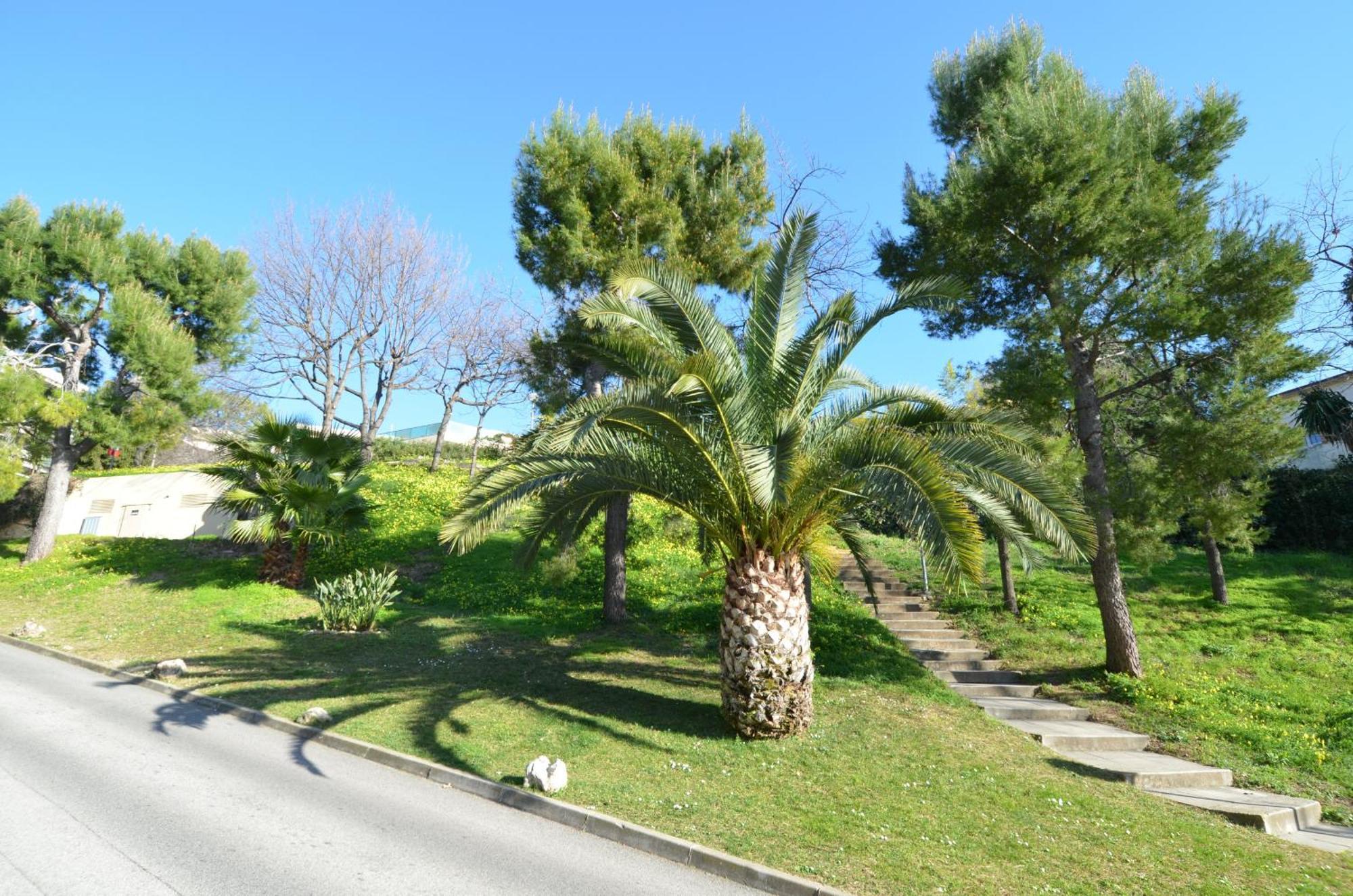 Plein Ciel - Appartement 5 Personnes Avec Piscine Sur La Corniche Fleurie A Nice Eksteriør billede